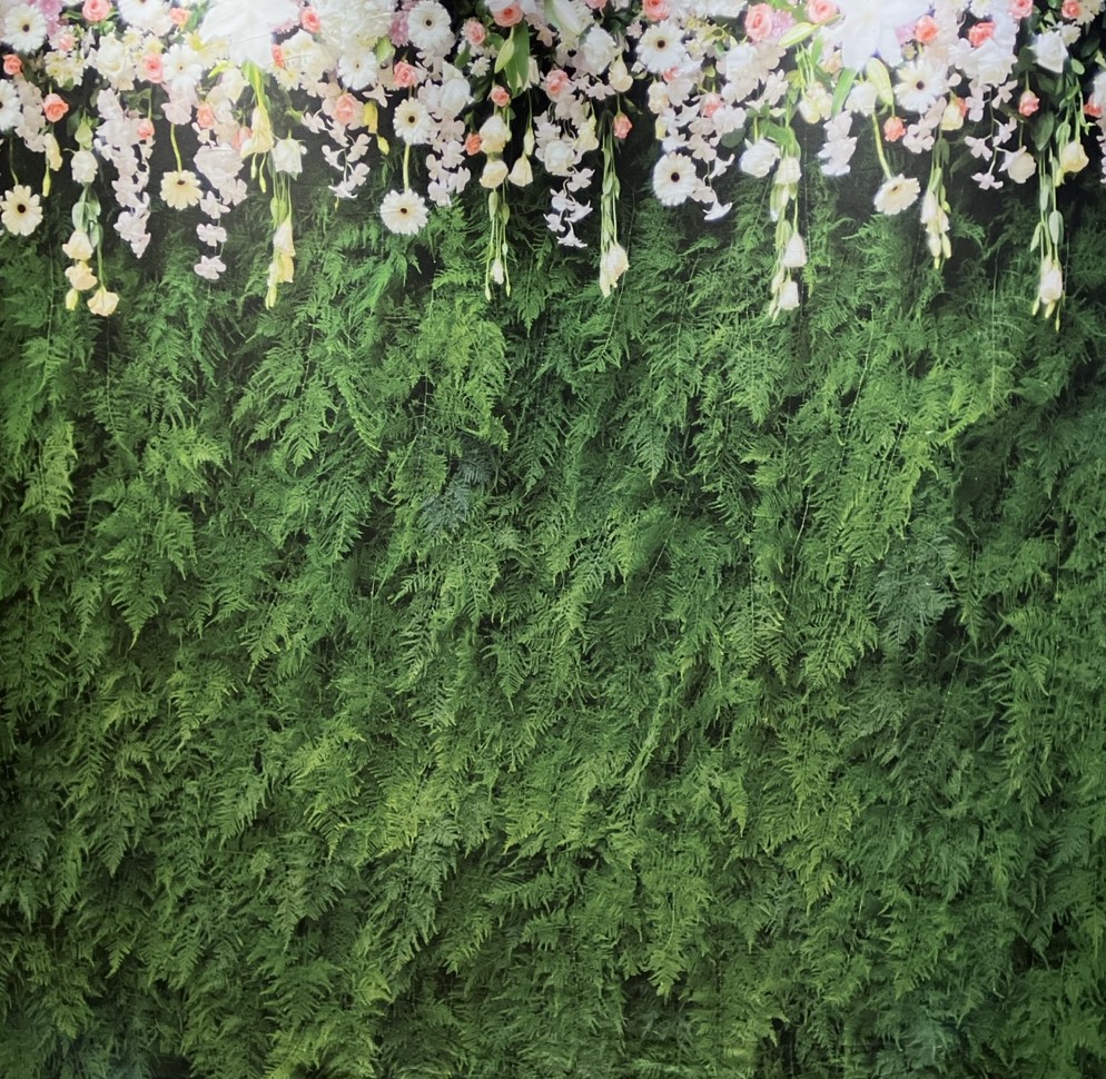 Ferns and Flowers