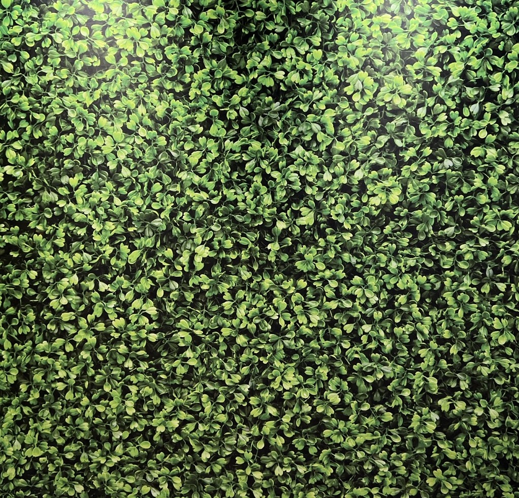 Hedge